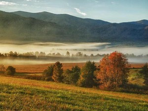 Fall Colors in the Smokies 2012