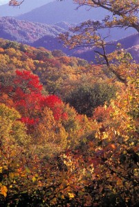 image courtesy of National Park Service