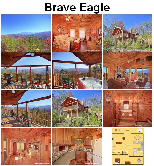 Brave Eagle cabin. CLICK HERE to book and for images, amenities and availability