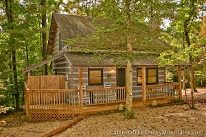 Good Vibrations cabin