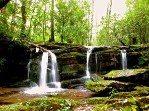 images courtesy of A Walk in the Woods