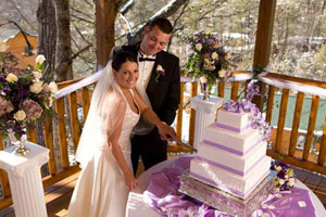 Wedding. Cutting the cake.
