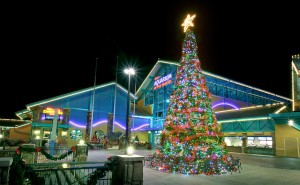 Aquarium Christmas tree 2012 copyright Dean Brown