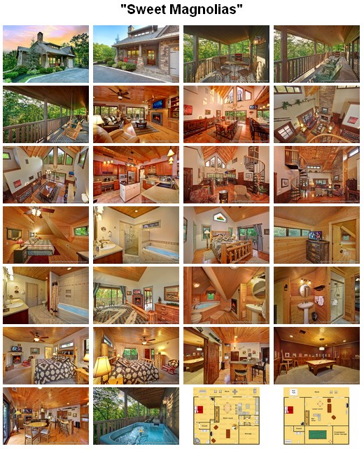 Sweet Magnolias cabin. CLICK HERE to book and for images, amenities and availability