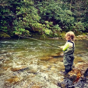 Image courtesy of Great Smoky Mountains National Park