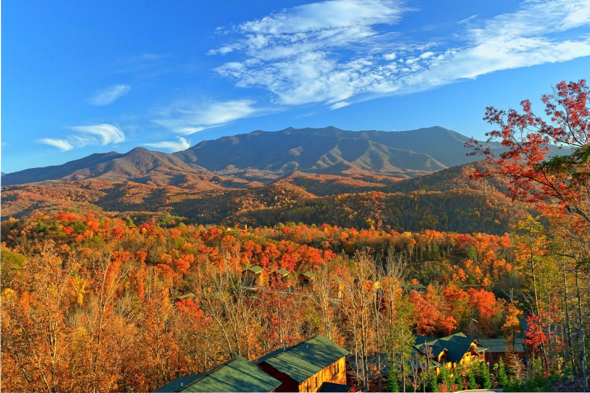 Smoky Mountain Fall Foliage