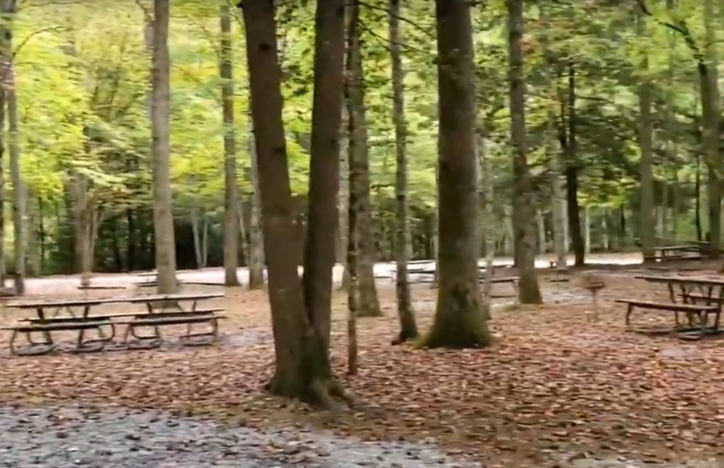 Favorite Picnic Areas in Great Smoky Mountains National Park