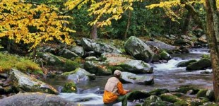 Fishing in Gatlinburg