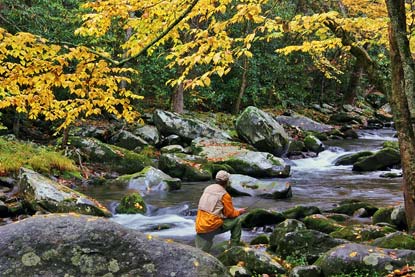 Smoky Mountain Fishing Map Gatlinburg Fishing: Where To Go, What To Bring