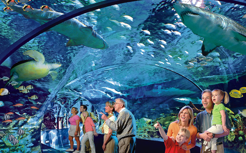 Ripley's Aquarium of the Smokies: Gatlinburg Things To Do