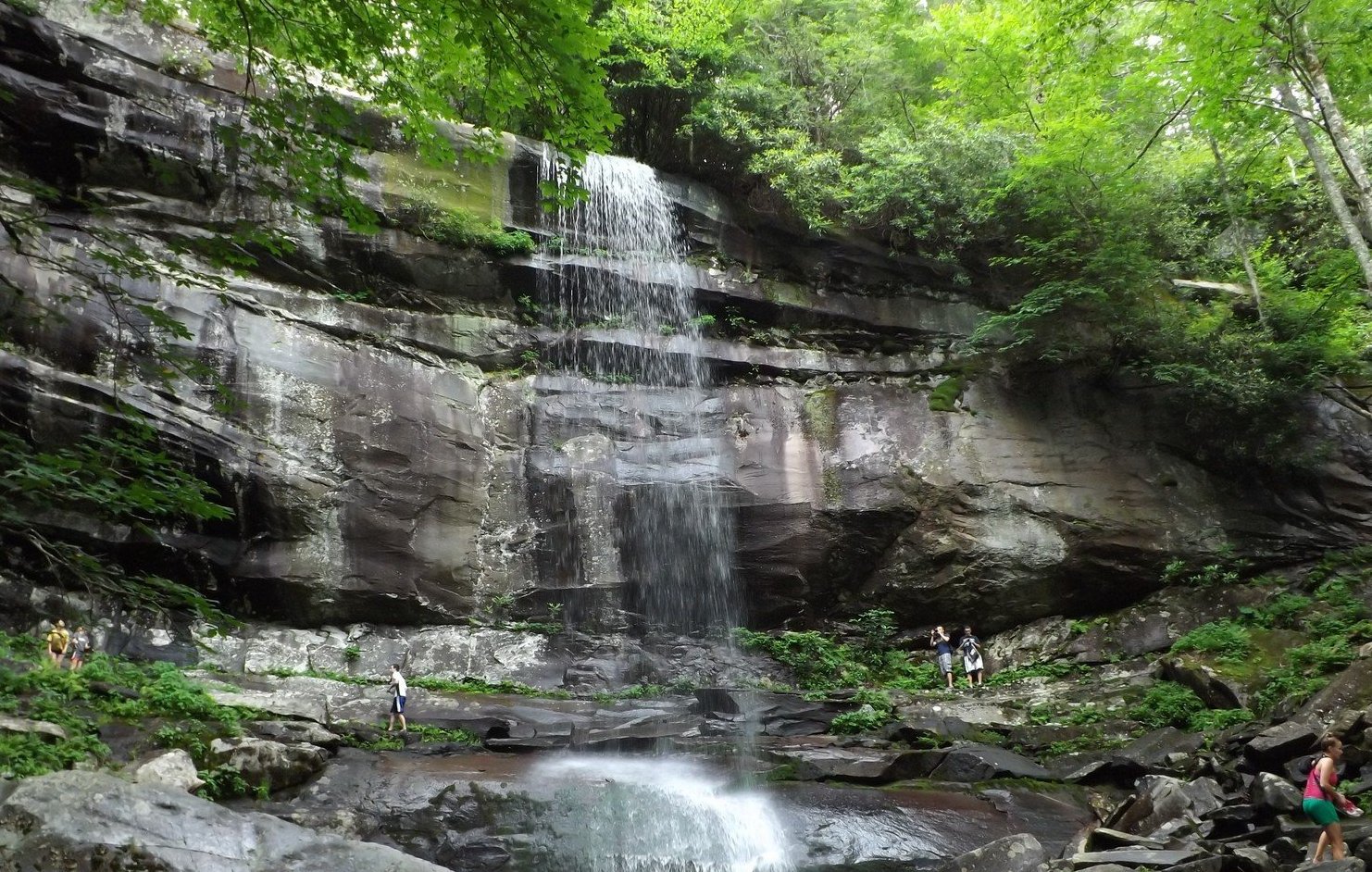 Best Hiking Trails In Gatlinburg