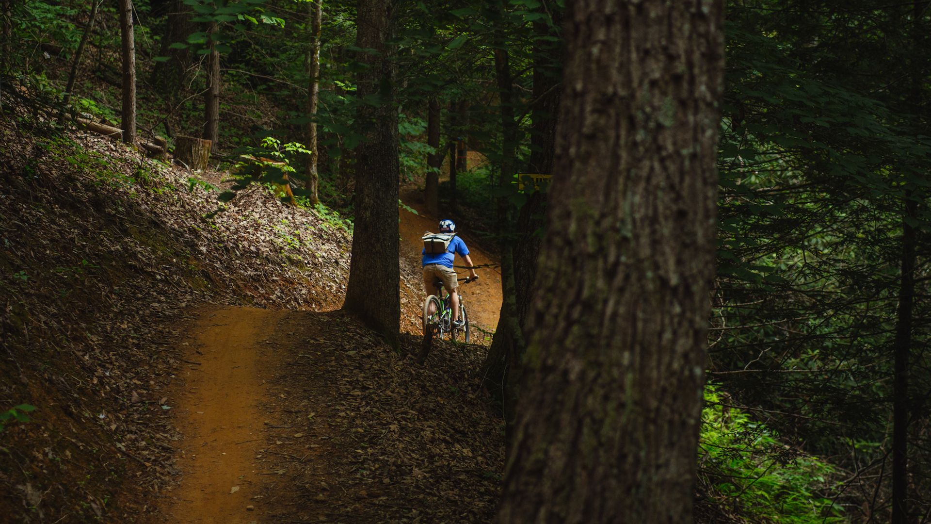 Gatlinburg Mountain Biking Best Trails in the Smokies