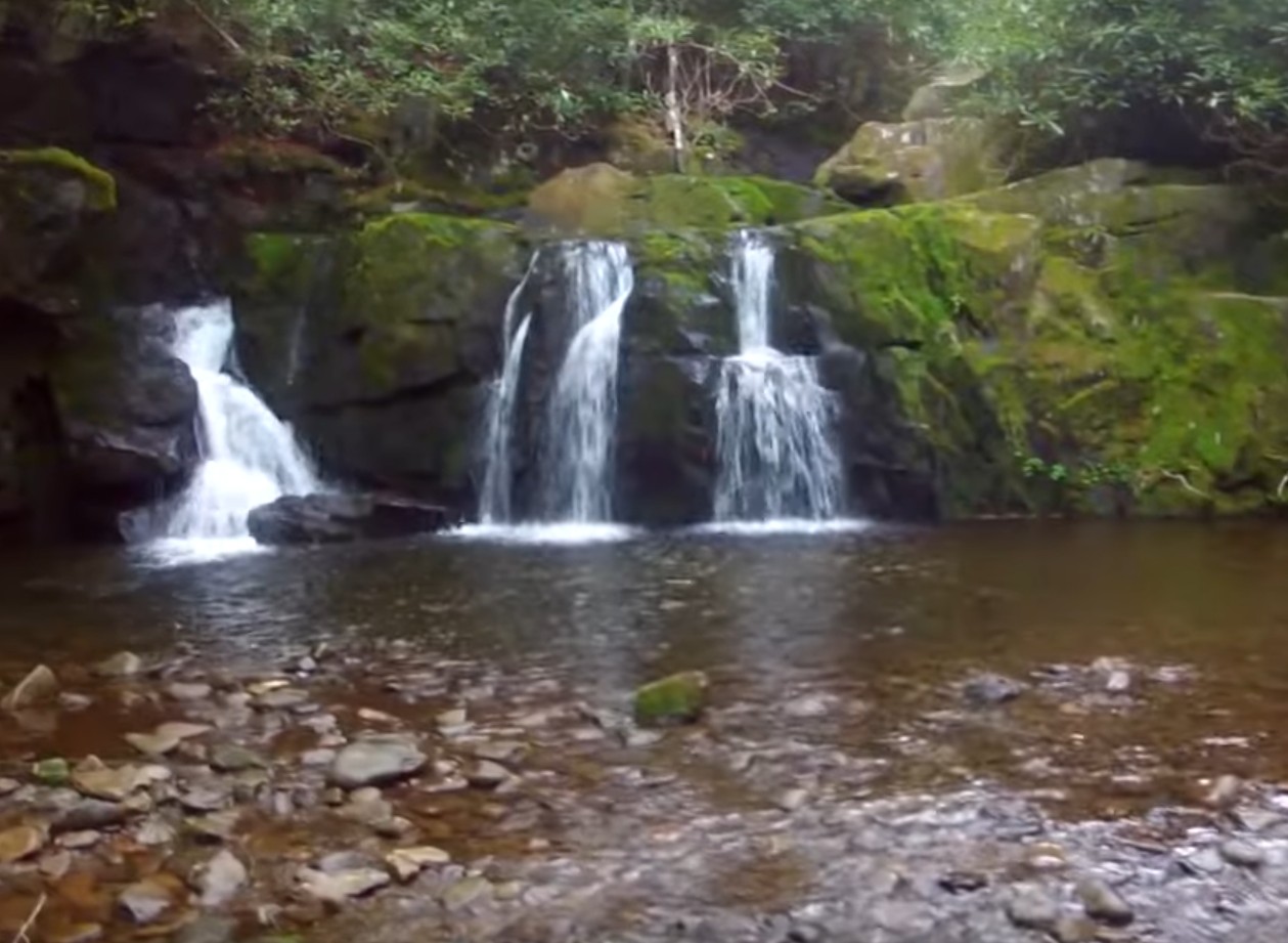 Exploring the Tremont Area in Great Smoky Mountains National Park