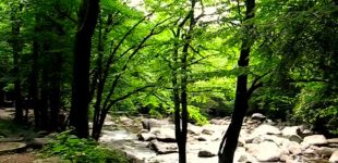 Lunch by the river at Chimneys Picnic Area in Great Smoky Mountains National Park