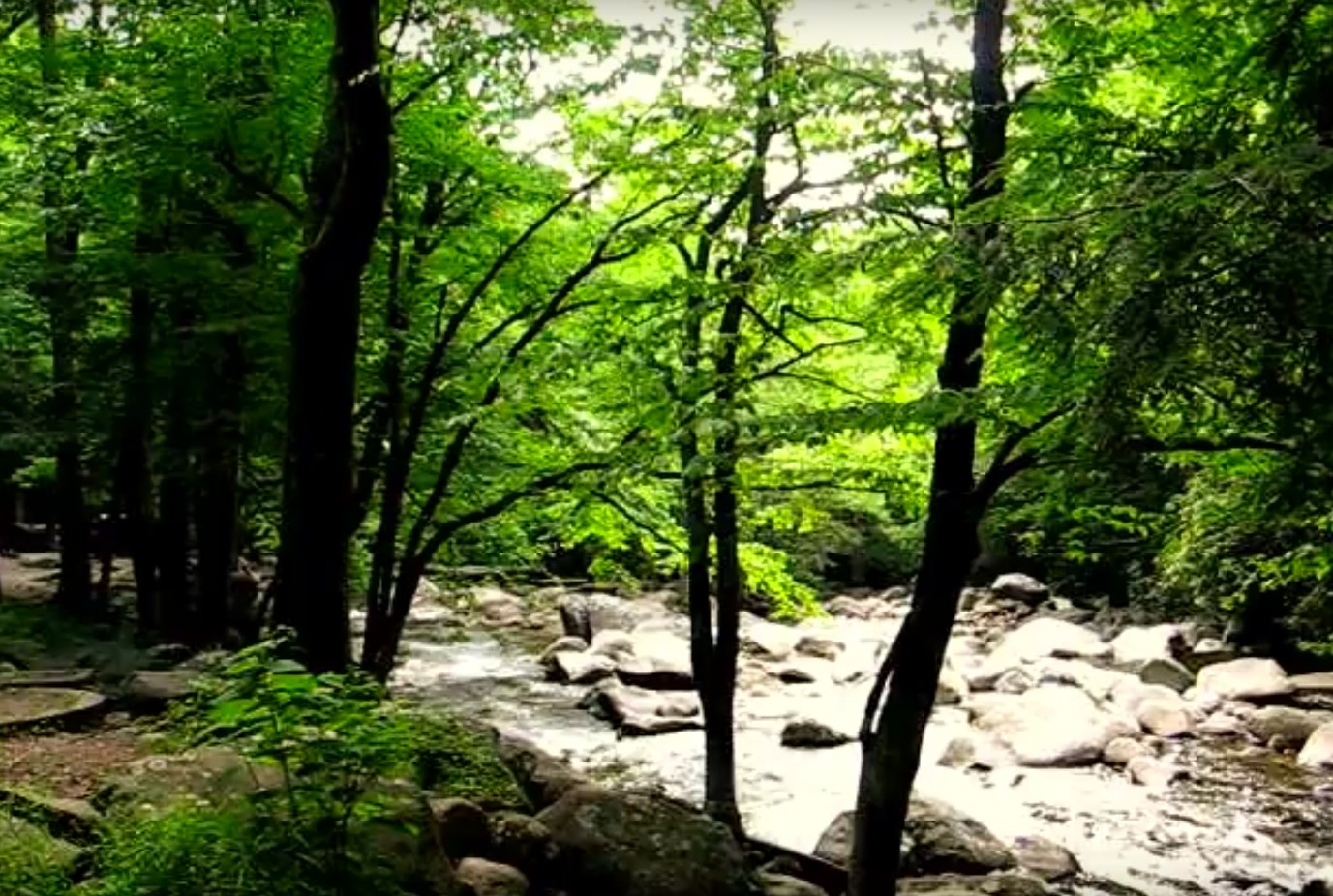 Lunch by the river at Chimneys Picnic Area in Great Smoky Mountains National Park