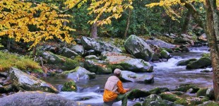 Fishing in Great Smoky Mountains National Park