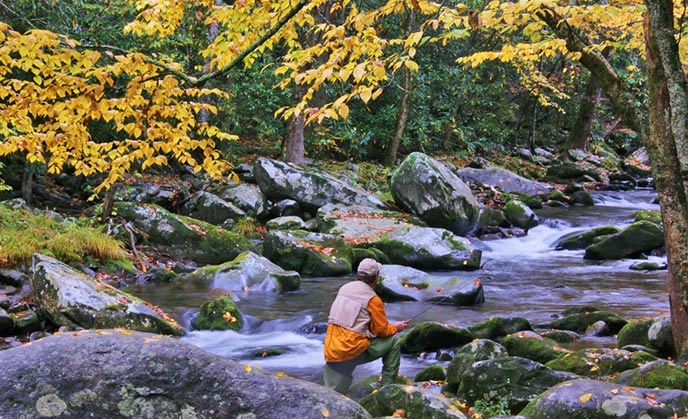 Fishing in Great Smoky Mountains National Park