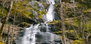 Fern Branch Falls and Porters Creek Trail: Great Trail, Great Waterfall