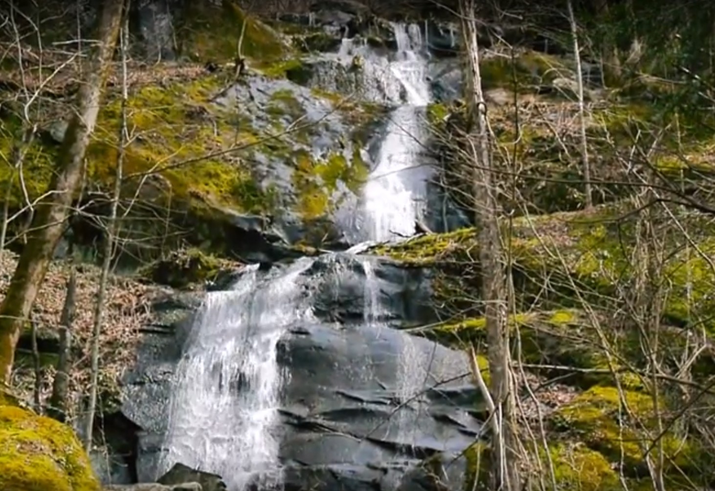 Fern Branch Falls and Porters Creek Trail: Great Trail, Great Waterfall