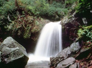 Grotto Falls, image courtesy of NPS