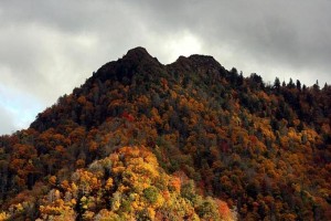 Fall Colors in Great Smoky Mountains National Park