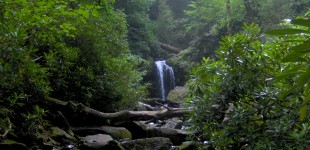 Grotto Falls and Roaring Fork, image courtesy of wikimedia, by Bms4880, licensed under CC
