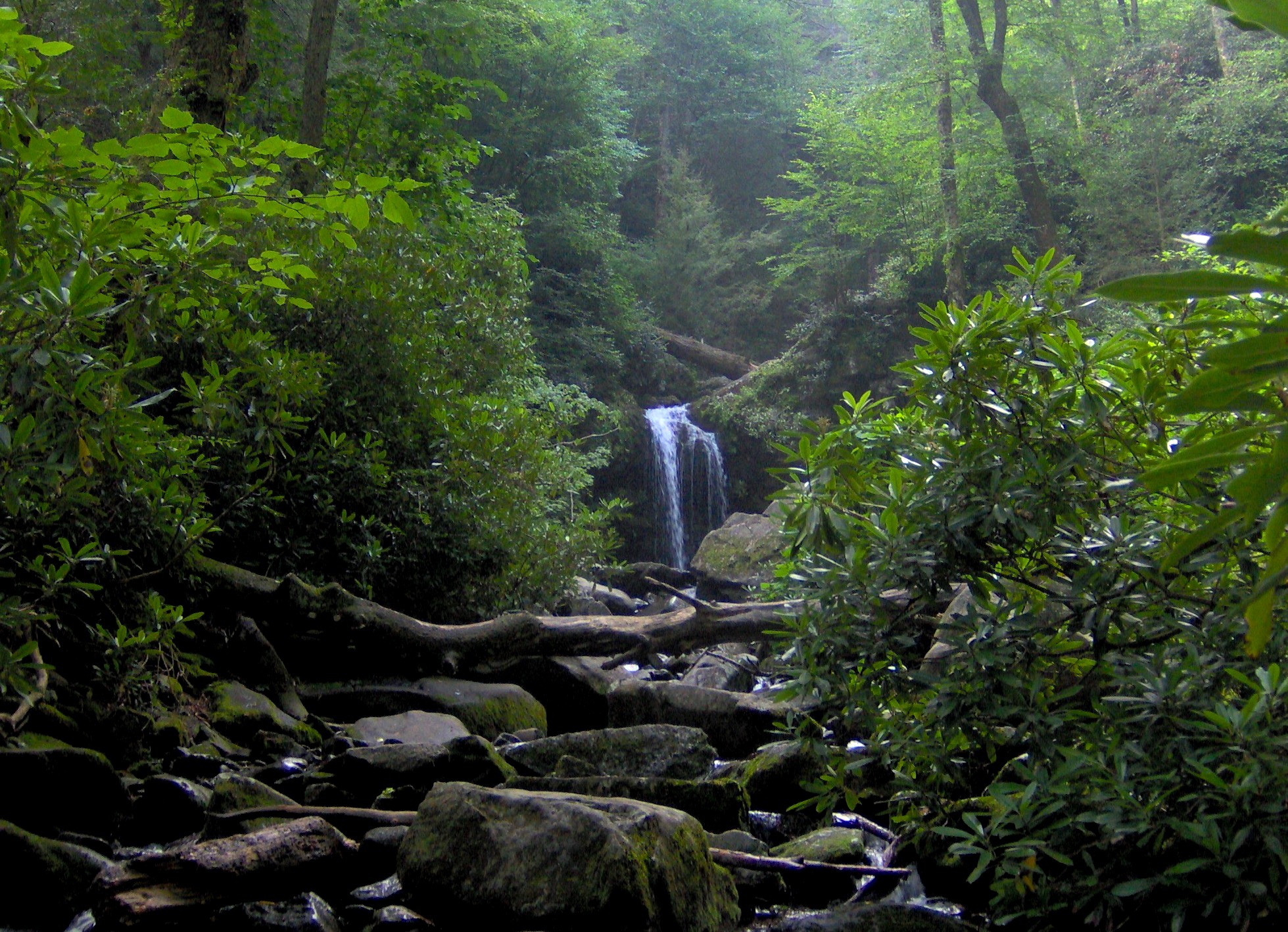 Grotto Falls and Roaring Fork