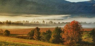 Cades Cove Image by Jim Bennett, courtesy of NPS