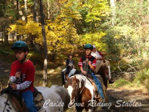 image courtesy of Cades Cove Riding Stables