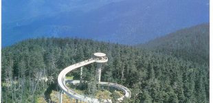 Clingmans Dome Observation Tower