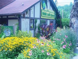 Whole Earth Grocery in Gatlinburg