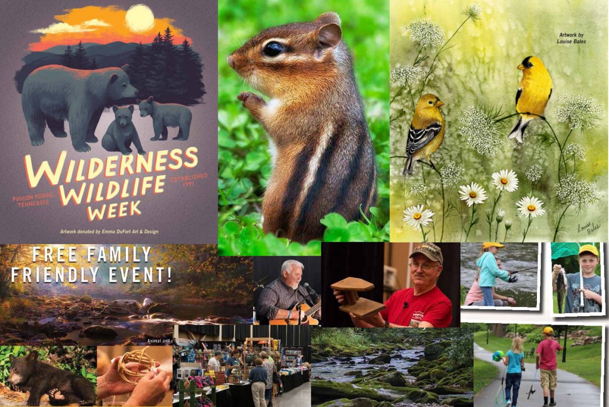 Wilderness Wildlife Week: Every Spring in Pigeon Forge