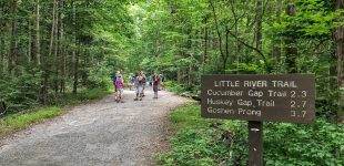 Image courtesy of The Peaceful Side of the Smoky Mountains