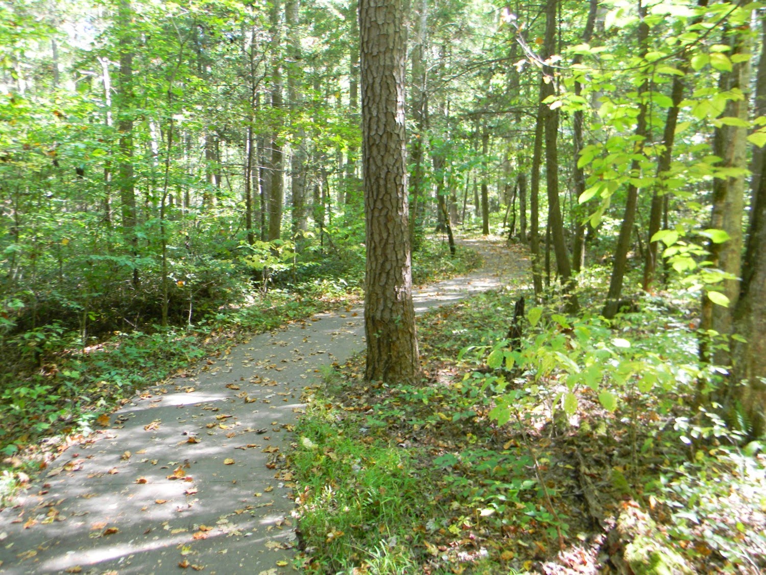 Sugarlands Valley Nature Trail