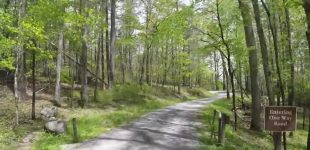 Rich Mountain Road: A Secluded Drive Through The Smokies
