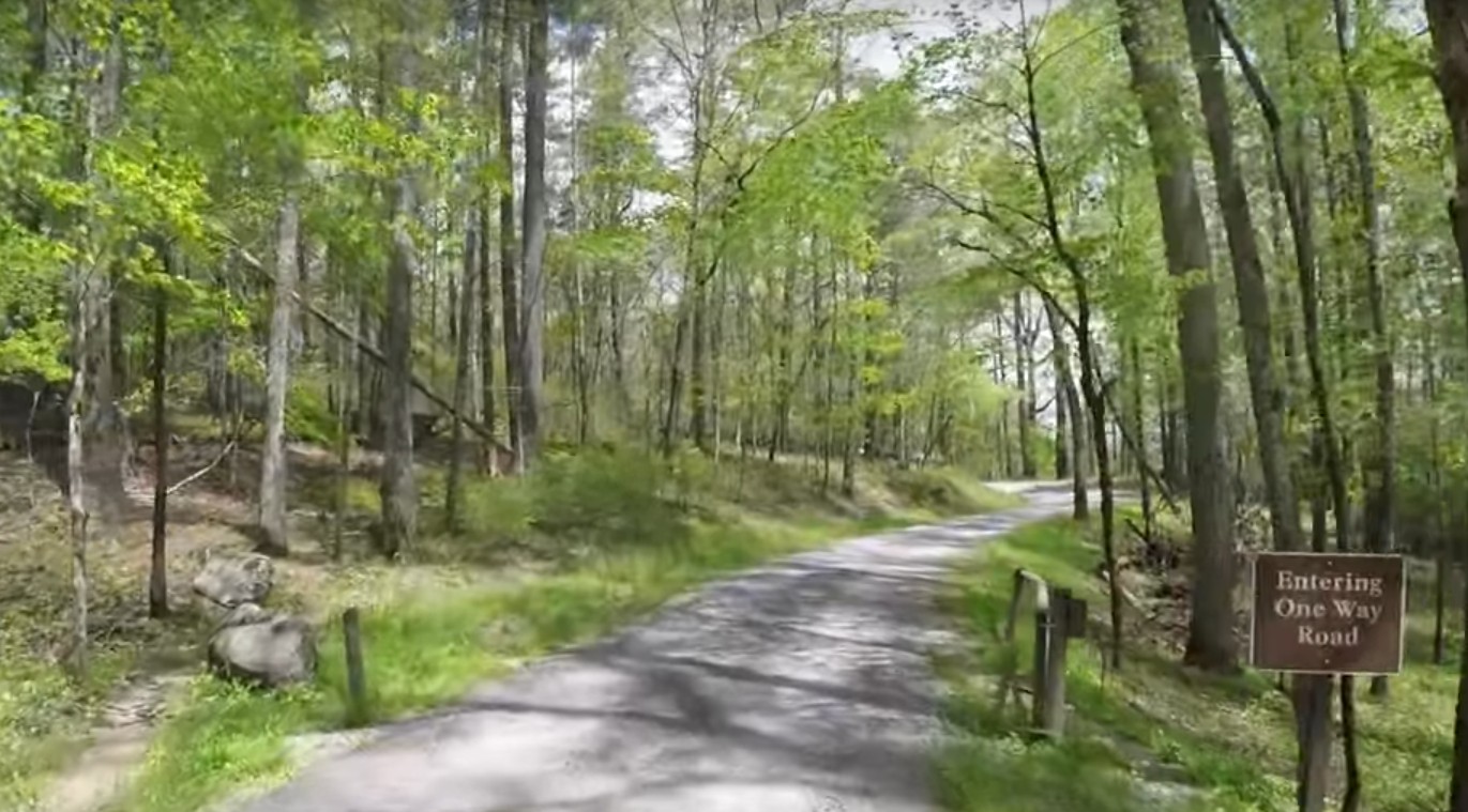 Rich Mountain Road: A Secluded Drive Through The Smokies