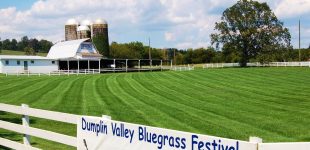 Dumplin Valley Bluegrass Festival: A Hidden Gem