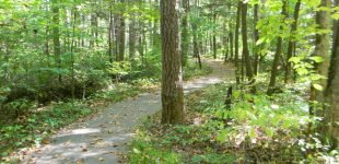 Sugarlands Valley Nature Trail