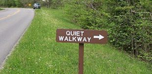 The Quiet Walkway