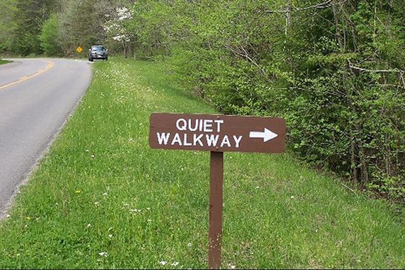 The Quiet Walkway