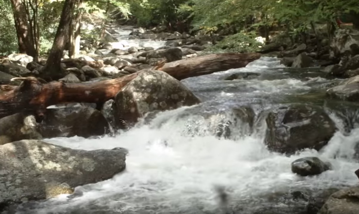 River in Great Smoky National Park