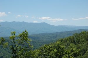 Legacy Mountain Ziplines