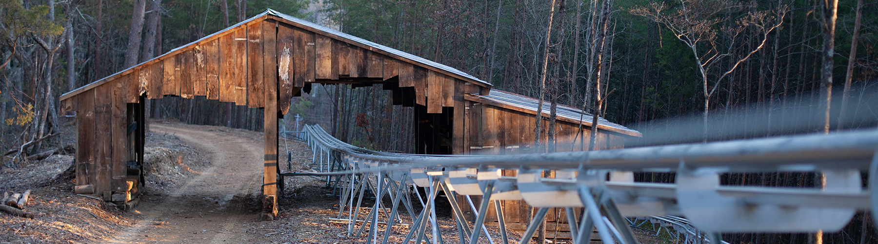 Image courtesy of Rocky Top Mountain Coaster