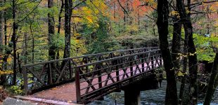 The Gatlinburg Trail