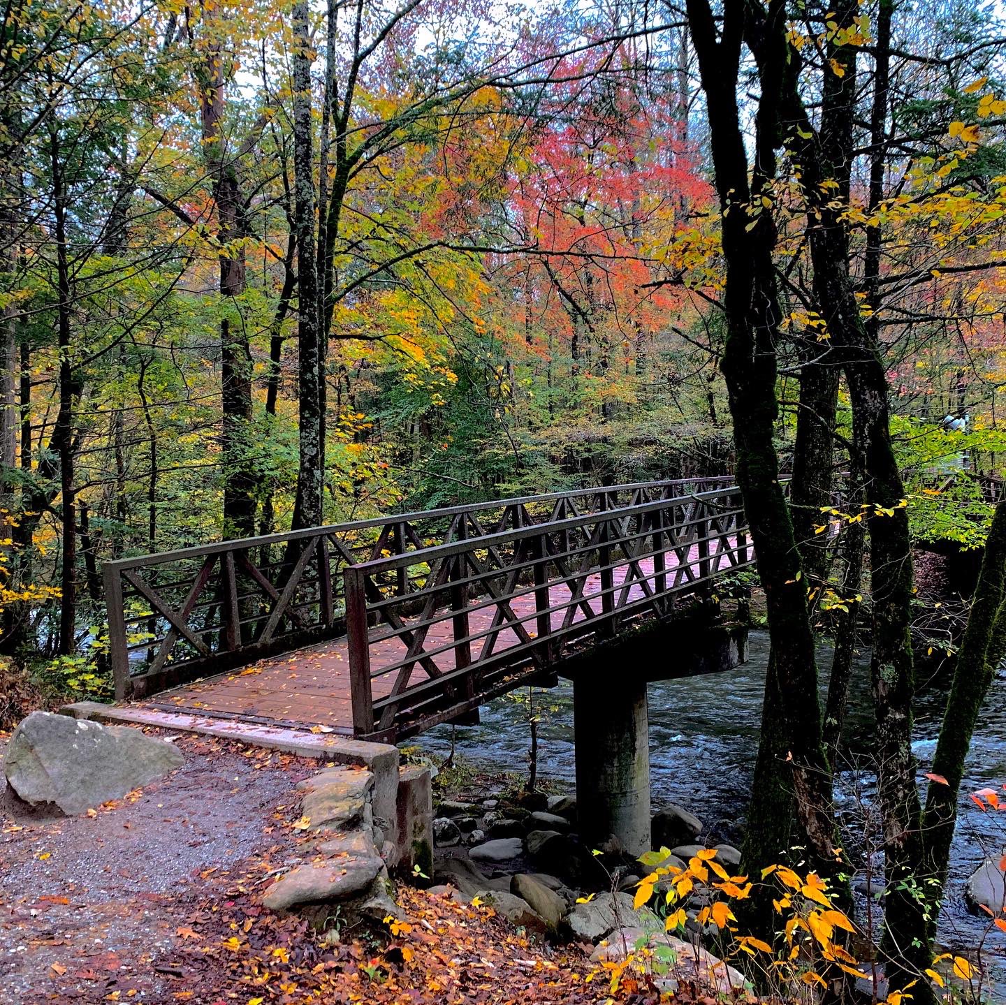 The Gatlinburg Trail