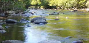 Metcalf Bottoms Picnic Area and Trail