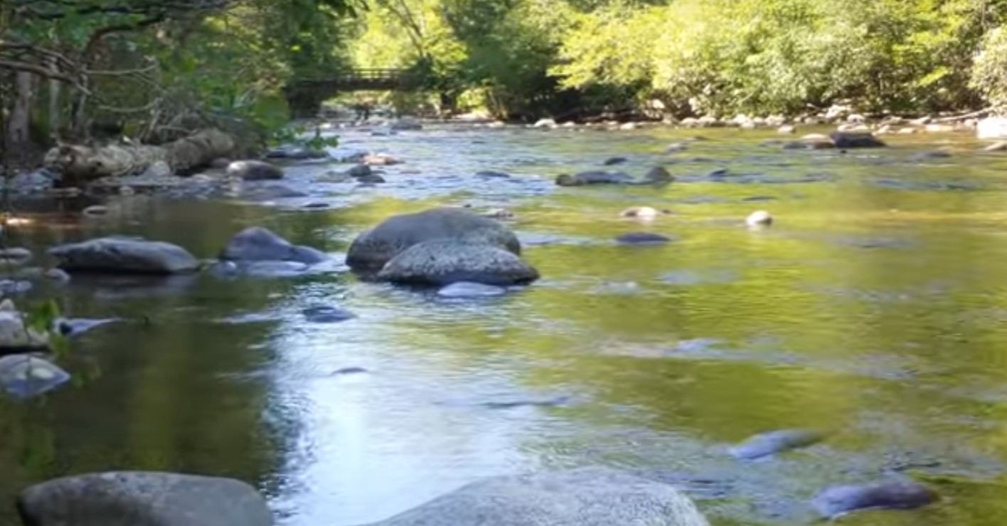 Metcalf Bottoms Picnic Area and Trail