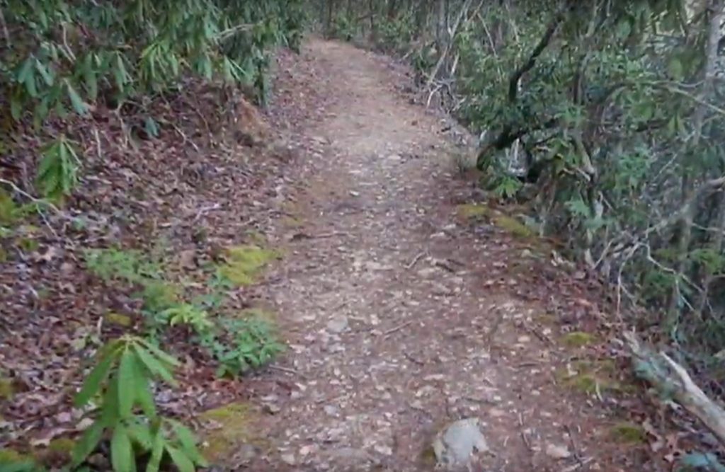 Curry Mountain Trail