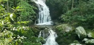 Mouse Creek Falls: Easy Trail, Good Swimming Hole