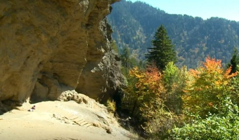 Alum Cave Bluffs and Trail Cabins - 2021 04 20 162058 768x450 